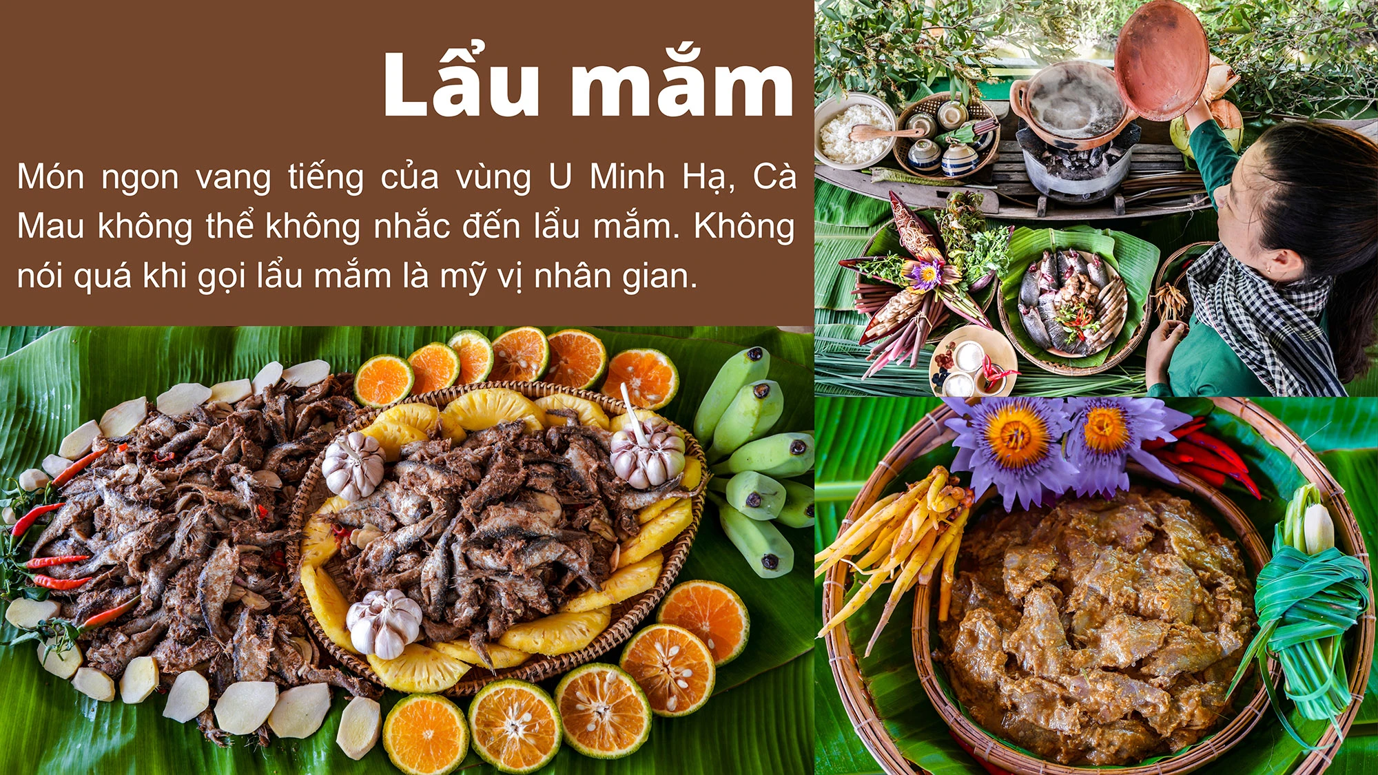 Thuê Xe Carnival Đi Cà Mau