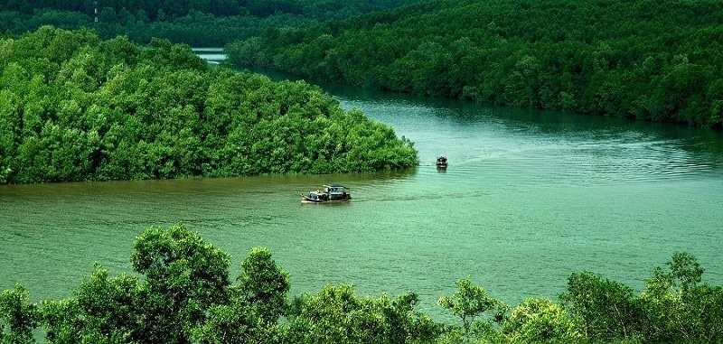 Thuê Xe Carnival Đi Cà Mau